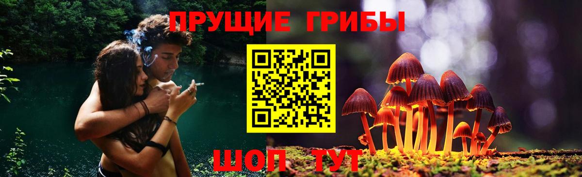 Галлюциногенные грибы мухоморы Чайковский